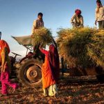 Rural Earthmoving Services Supporting Agricultural Infrastructure And Property Access