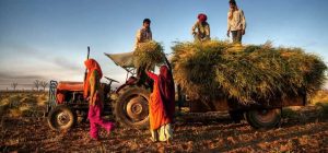 Rural Earthmoving Services Supporting Agricultural Infrastructure And Property Access