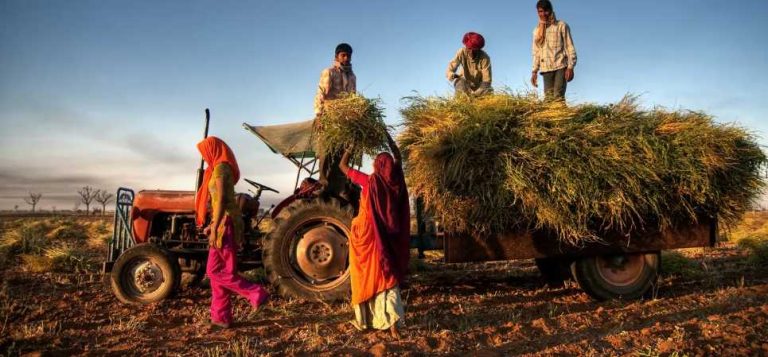 Rural Earthmoving Services Supporting Agricultural Infrastructure And Property Access